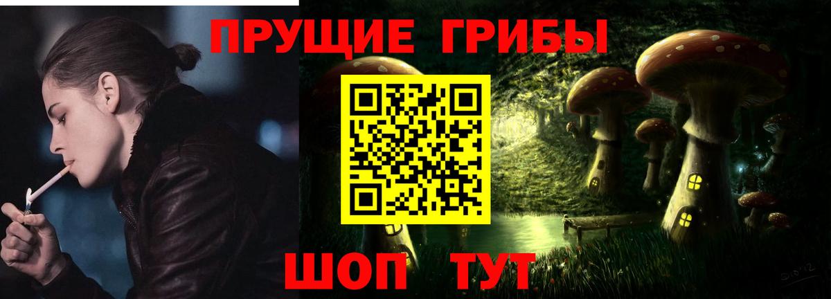 Псилоцибиновые грибы мицелий  как найти   Пугачёв  Вход с VPN 