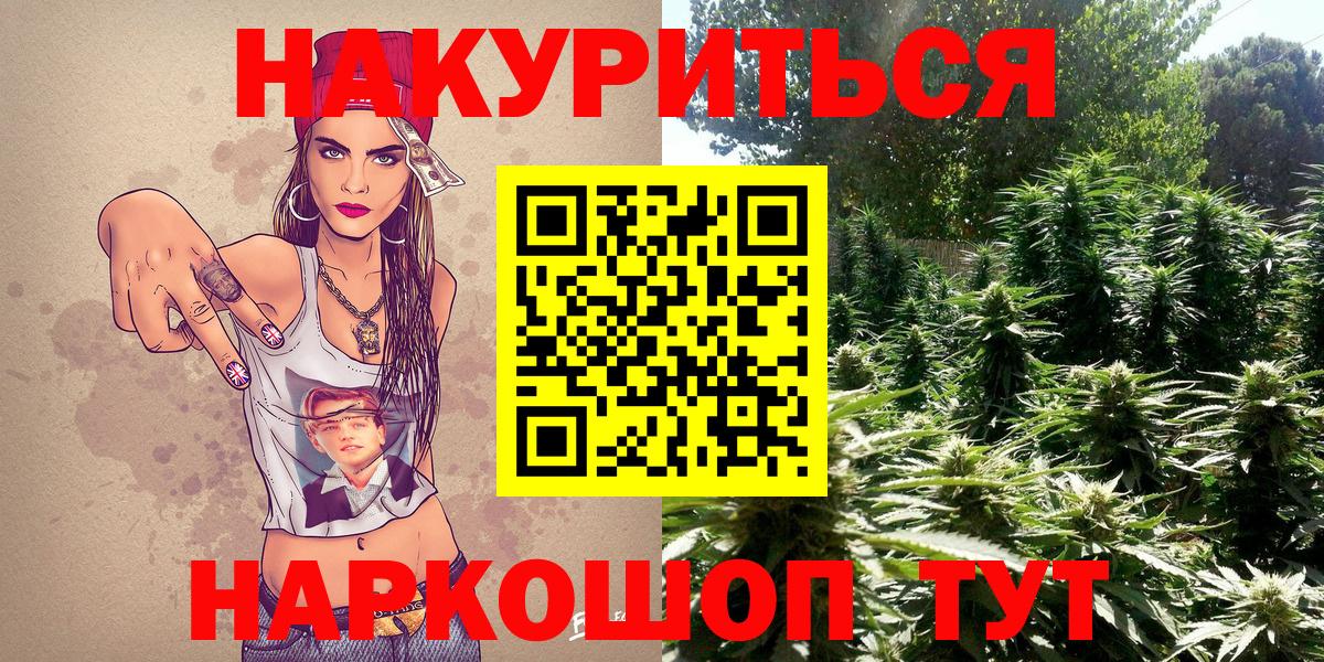 Пугачёв  Шишки марихуана планчик  МАРИХУАНА планчик  Марихуана VHQ  Вход с VPN 
